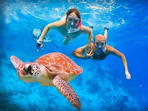 Marsa-Moubarak-marsa-alam-Schwimmen-mit-den-Schildkröten-und-Dugong-Schwimmen-mit-Dugong