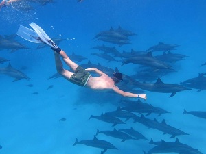 Delfinhaus-Marsa-alam-Sattaya-Riff-schwimmen-Mit-Delfinen-ausflug-Delfin-Haus-Marsa-Alam-Delfinhaus-Tour-von-Hurghada