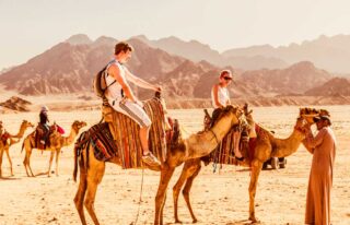 Kamelritt Ausflug In Hurghada