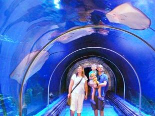 Ausflug Hurghada Grand Aquarium