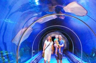 Ausflug Hurghada Grand Aquarium