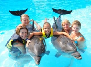 Fotosession mit den Delfinen