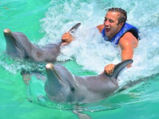 Schwimmen mit den Delfinen in Hurghada